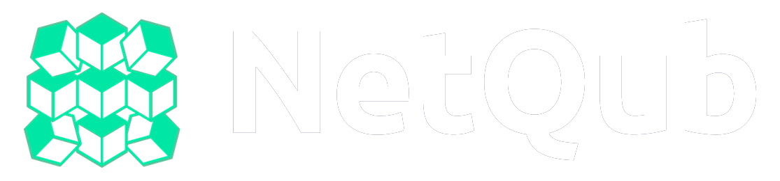 NetQub, Inc.